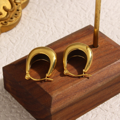 EVIE Elegante Ohrringe